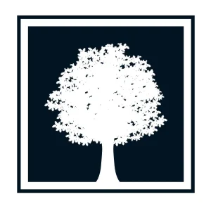 Voir le site internet du site de Moroges